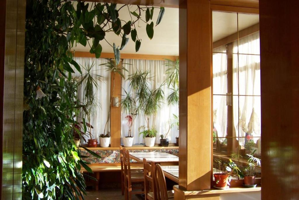Hotel Brustolon Dont エクステリア 写真